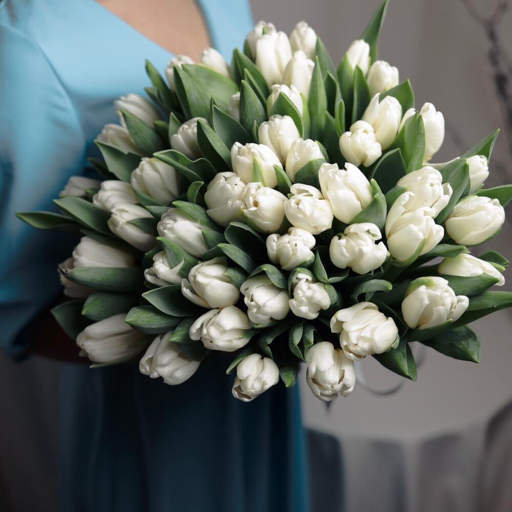 49 белых тюльпанов в оформлении