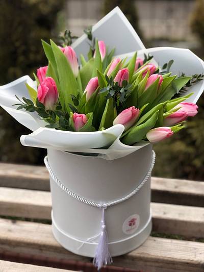 25 голландских тюльпанов в коробку 4