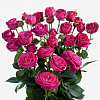 Букеты спрей-роз по цветам