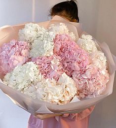 Букет из 15 гортензий в розовых оттенках